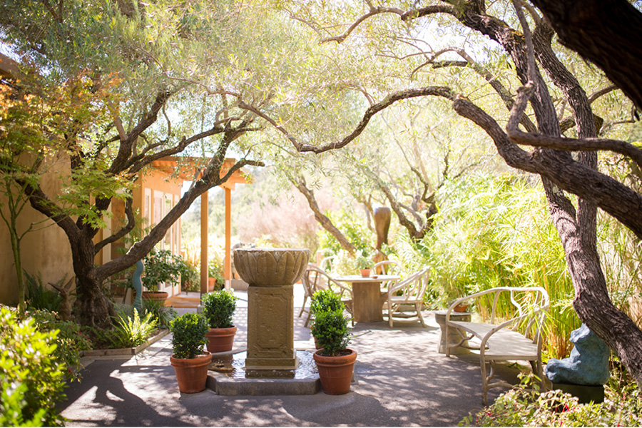 napa wedding photographer auberge du soleil wedding