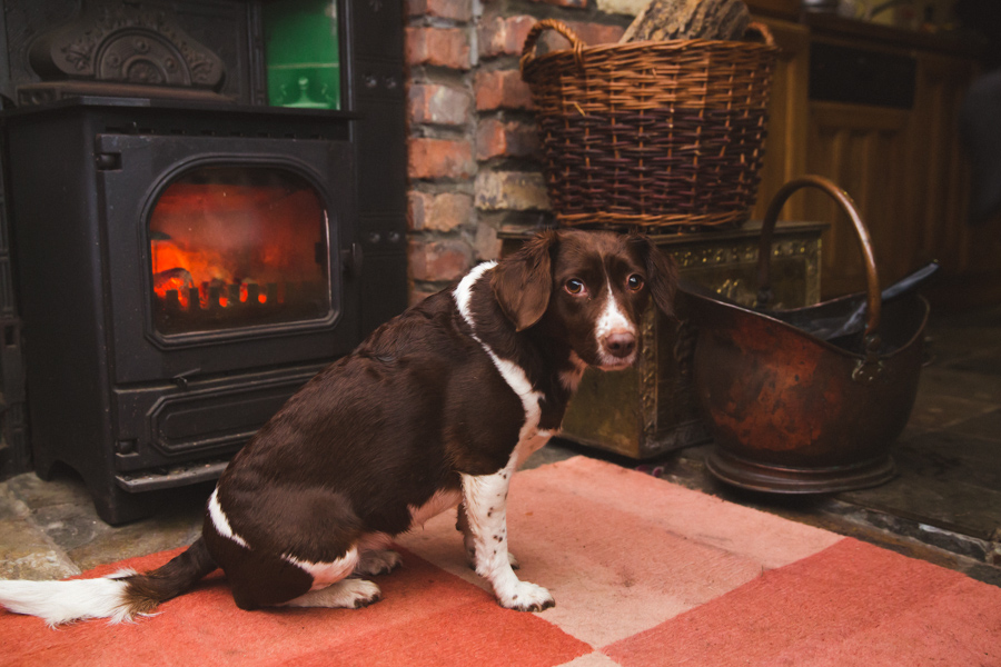 san francisco destination wedding photographer uk ireland europe -