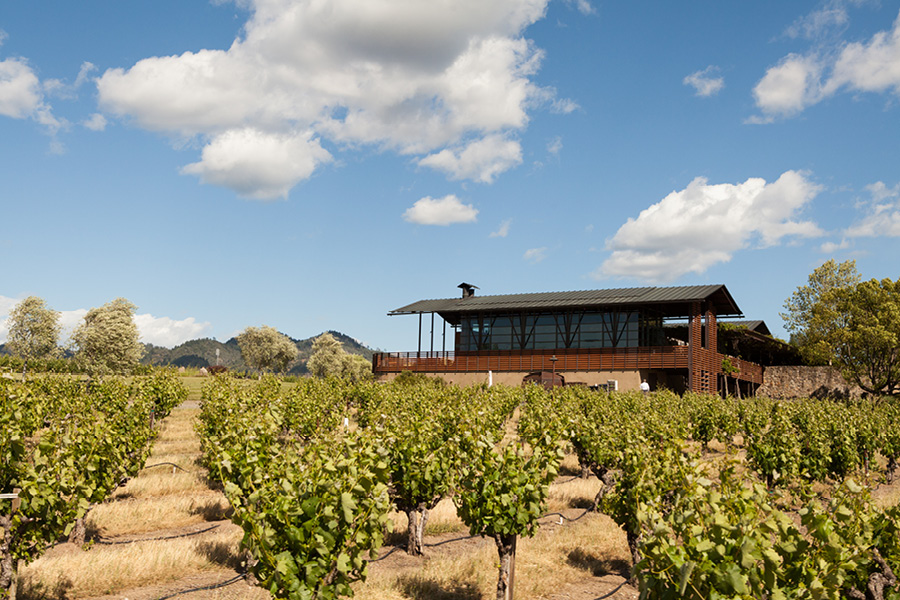 sonoma stryker winery wedding photographer 