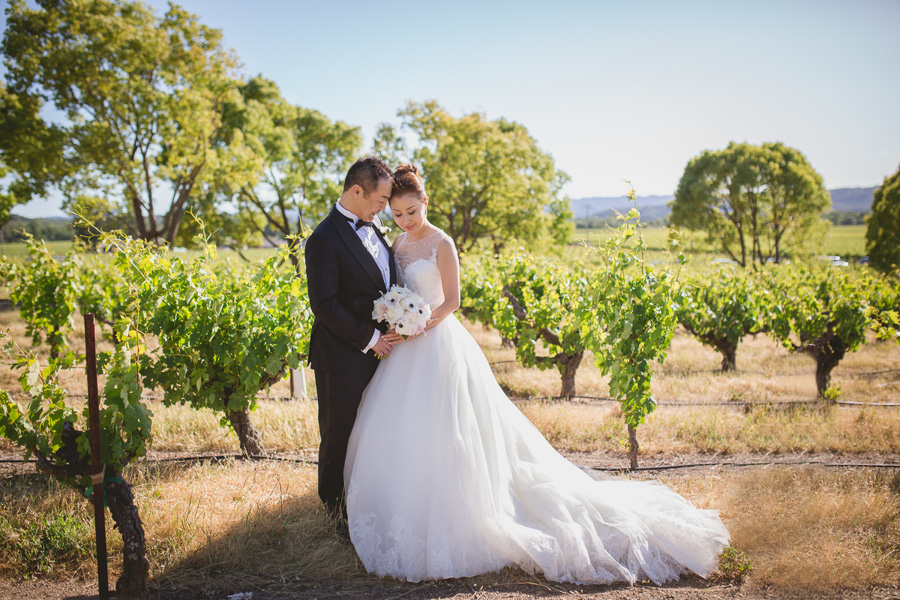 sonoma stryker winery wedding photographer 