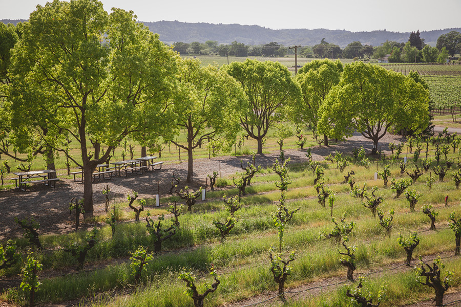 sonoma stryker winery wedding photographer 