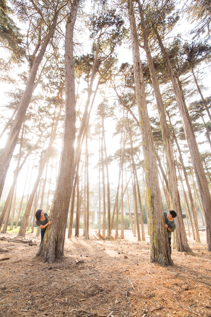 san francisco lands end presidio engagement photo photoshoot