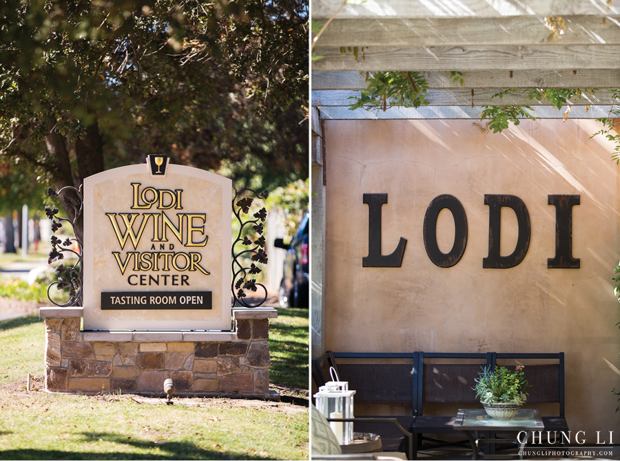 san francisco city hall photographer winery lodi wedding photographer